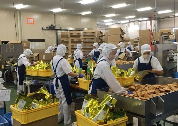 Tung đãi ngộ như 'vua chúa', doanh nghiệp cả nước vẫn không tuyển đủ nhóm lao động này