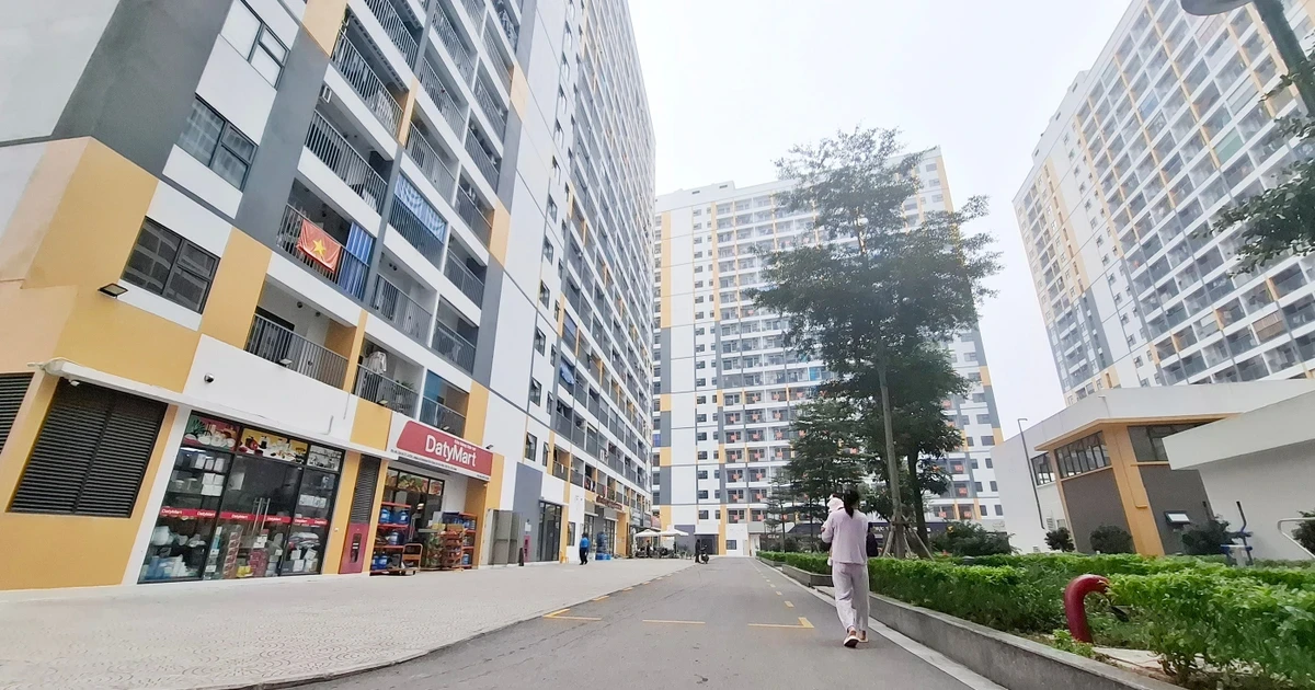 Cơ quan công an nói về việc xử lý hành vi bán nhà ở xã hội sai đối tượng Cơ quan công an nói về việc xử lý hành vi bán nhà ở xã hội sai đối tượng