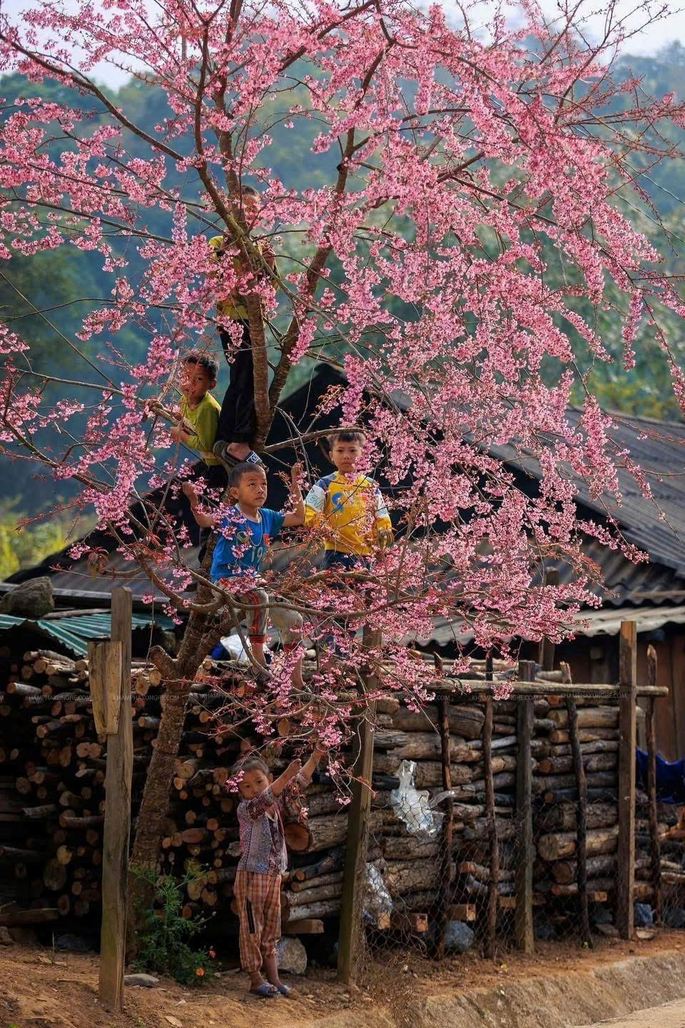 Ngôi làng miền biên viễn xứ Nghệ được ví như 'Nhật Bản thu nhỏ', sở hữu cảnh đẹp đến nao lòng - ảnh 3