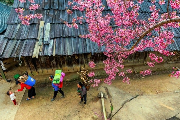 Ngôi làng miền biên viễn xứ Nghệ được ví như 'Nhật Bản thu nhỏ', sở hữu cảnh đẹp đến nao lòng - ảnh 2