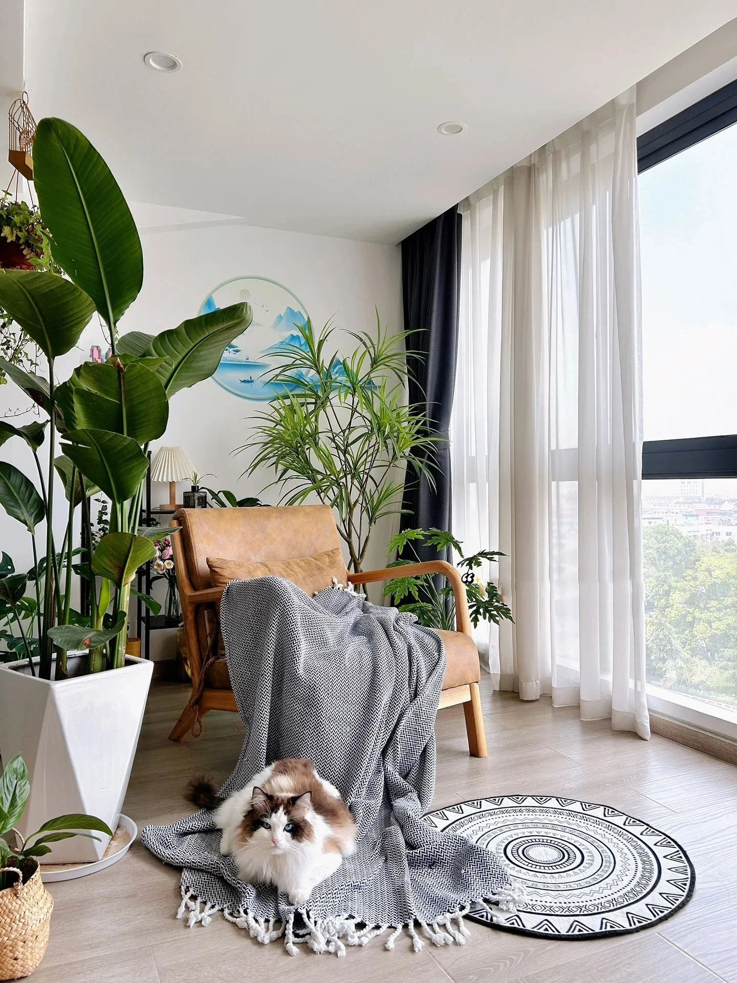 Căn hộ 39m2 của cô gái độc thân: Đủ bếp, phòng khách, góc thư giãn trong không gian tối giản- Ảnh 6.