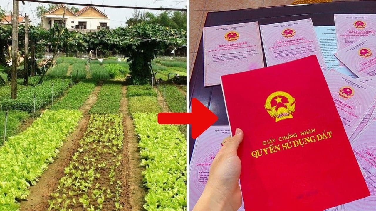 Đừng đợi đến lúc quá hạn: Tại sao đây là 'thời điểm vàng' để chuyển đổi đất vườn sang đất ở?