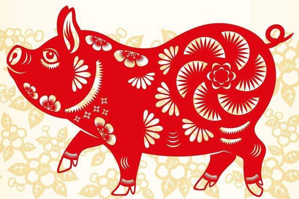 Năm 2026, 3 con giáp này vận đỏ như son, tài chính dồi dào, đón hết chuyện vui này đến chuyện vui khác - ảnh 3