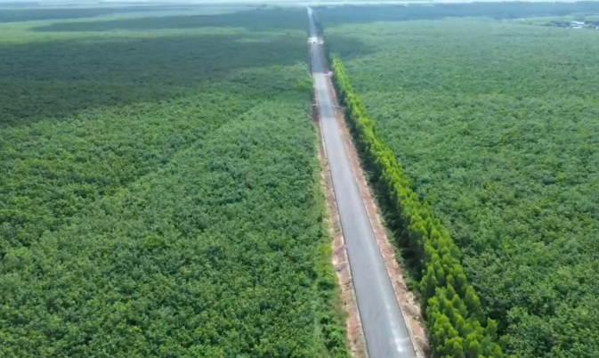 Con đường xuyên rừng cao su tại thành phố giàu nhất Việt Nam: Gặp khó khăn, phải lùi kế hoạch thông xe nửa năm- Ảnh 2.