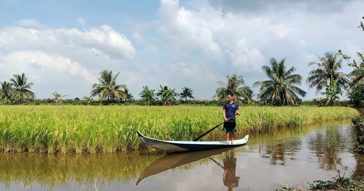 4 sản phẩm nông nghiệp chủ lực của Cà Mau