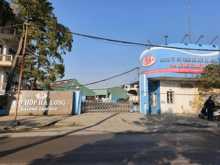 Đồ hộp Hạ Long: Toàn bộ cổ đông ngoại kịp 'tháo chạy' trước khi vụ việc thịt lợn nhiễm bệnh bị phát hiện