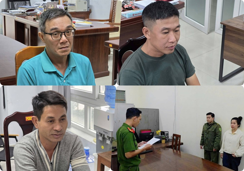 Thu hồi 3 vali vô chủ tại sân bay, phát hiện 150 bao nilon chứa hơn 90.000 con tôm hùm - ảnh 1