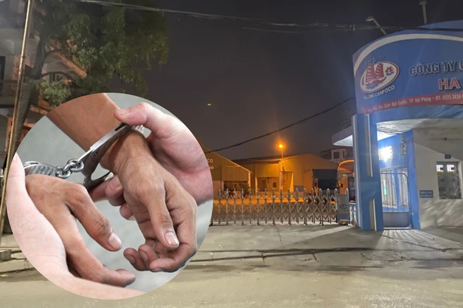 CEO doanh nghiệp nhập 130 tấn thịt lợn bệnh vừa bị bắt: Không nắm cổ phần, nhận lương khủng thay sếp ngoại ngồi 'ghế nóng'