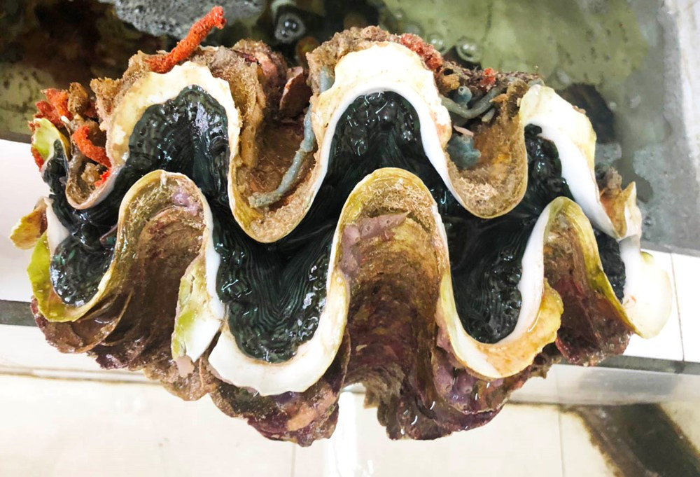 Cách Phú Quốc không xa có một nơi được ví như 'Hạ Long của phương Nam', đẹp đến mức siêu mẫu nổi tiếng phải thốt lên 'khó diễn tả' - ảnh 5