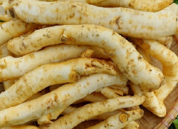 Loại cây trồng đầy vườn bỗng thành món mứt lạ ngày Tết, giá hơn nửa triệu đồng/kg vẫn hút khách