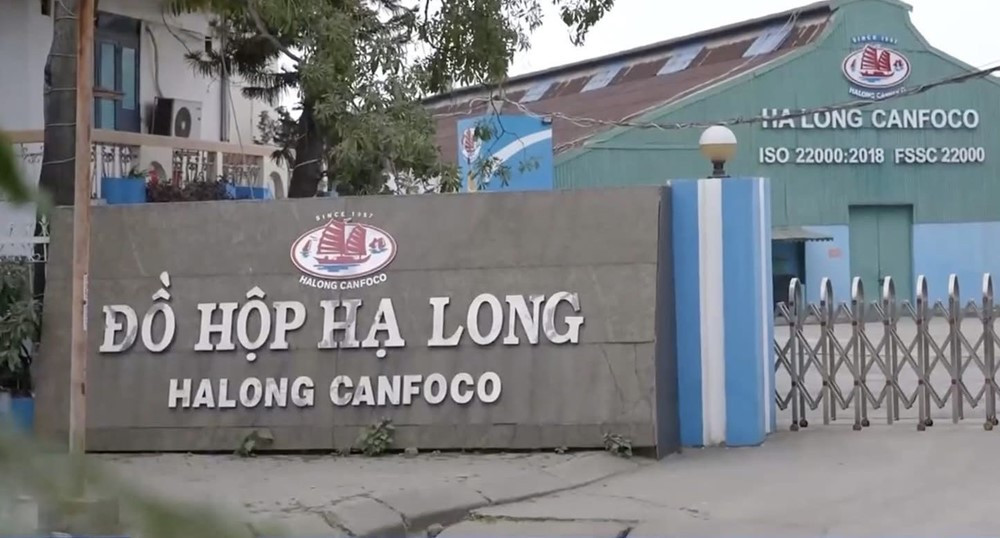 Yêu cầu truy xuất, triệu hồi sản phẩm Đồ hộp Hạ Long 'dính' lợn bệnh - ảnh 2