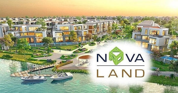 Từ Novaland đến Seaprodex: Dòng tiền đi qua công ty địa ốc chỉ có 1 lao động