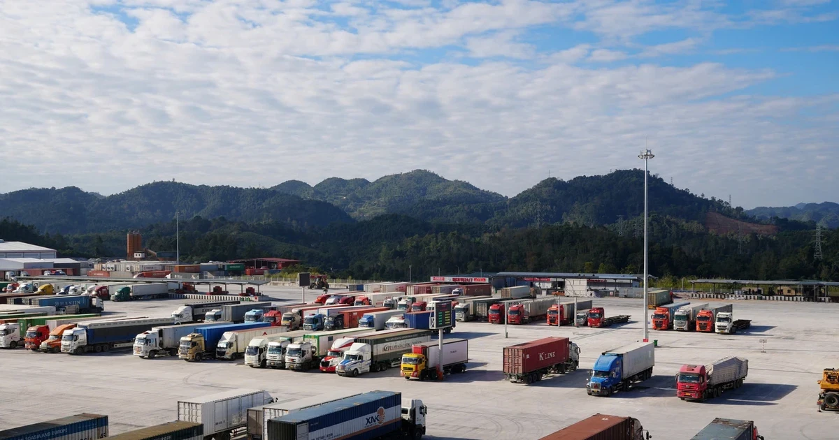 Kho ngoại quan Logistics: Rút ngắn thời gian thông quan tại cửa khẩu Lạng Sơn