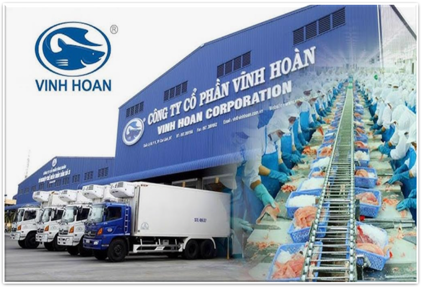 VHC giảm mạnh, Vĩnh Hoàn tính phương án mua lại cổ phiếu, giảm vốn điều lệ