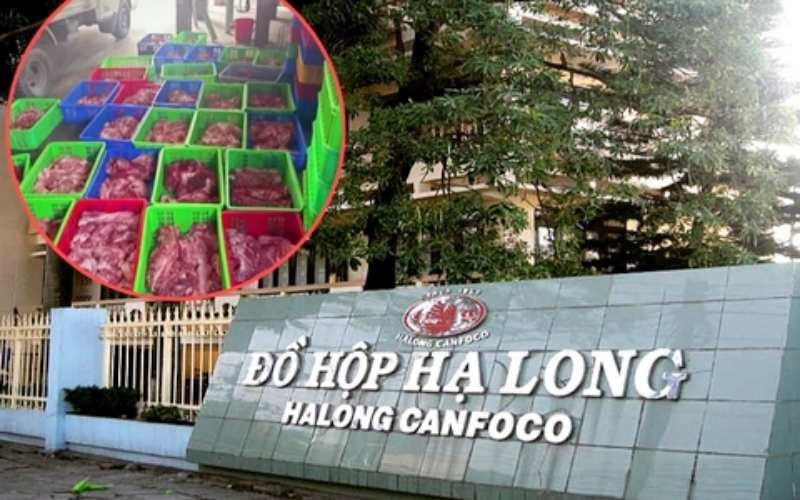 Khởi tố Tổng Giám đốc Công ty Đồ hộp Hạ Long - ảnh 1