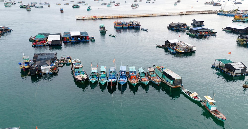 Việt Nam chính thức có thêm 1 tuyến tàu cao tốc ra đặc khu tiền tiêu phía Tây Nam - ảnh 3