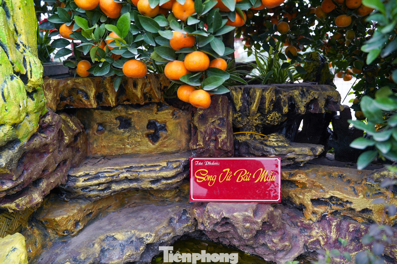 tp-tienphong-1438.jpg