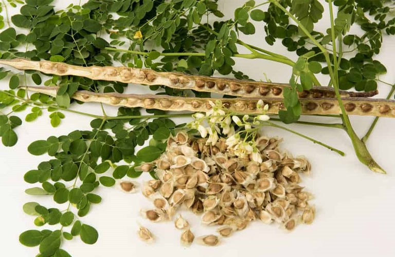 Sự thật về loại rau có khả năng đẩy lùi 90% tế bào ung thư chỉ trong vòng 48 giờ, ở Việt Nam mọc dại đầy đường - ảnh 3