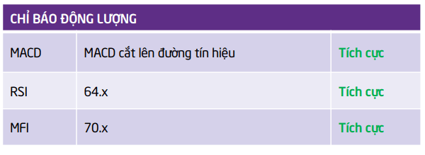 TPS đưa ra một số đánh giá phân tích kỹ thuật đối với cổ phiếu VHC