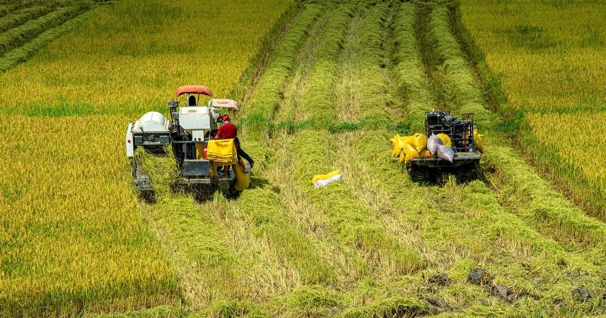 Việt Nam sắp có cầu vượt vịnh gần 4.000 tỷ kết nối vùng biển Tây Nam Bộ, đất nông nghiệp quanh vùng 'nổi sóng'- Ảnh 2.