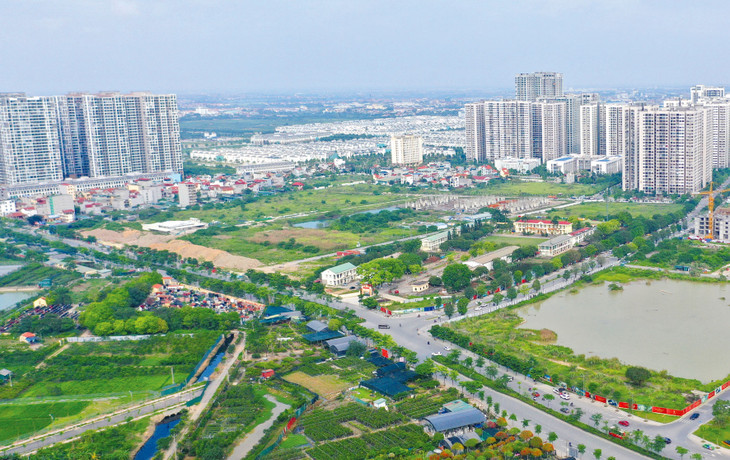 Dự án đầu tư kinh doanh nào phải tổ chức đấu thầu lựa chọn nhà đầu tư?- Ảnh 1.