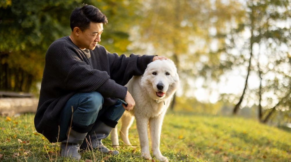 Khoa học chỉ ra độc thân kéo dài gây ra nhiều hệ lụy sức khỏe - ảnh 2