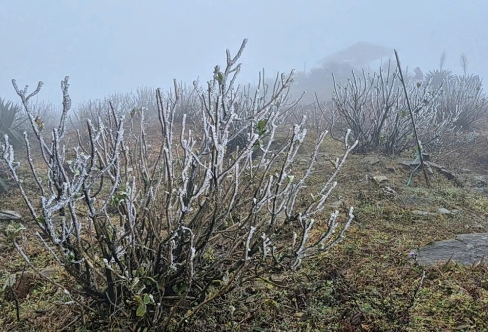 Không phải Fansipan, đây mới là đỉnh núi miền Bắc xuất hiện băng giá, khách du lịch đổ xô đến checkin - ảnh 1