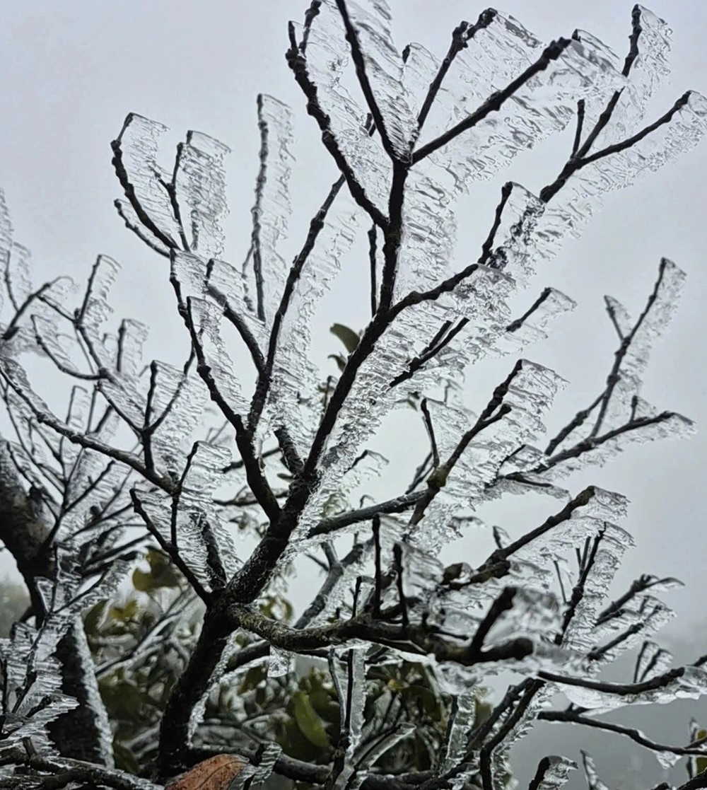 Không phải Fansipan, đây mới là đỉnh núi miền Bắc xuất hiện băng giá, khách du lịch đổ xô đến checkin - ảnh 3