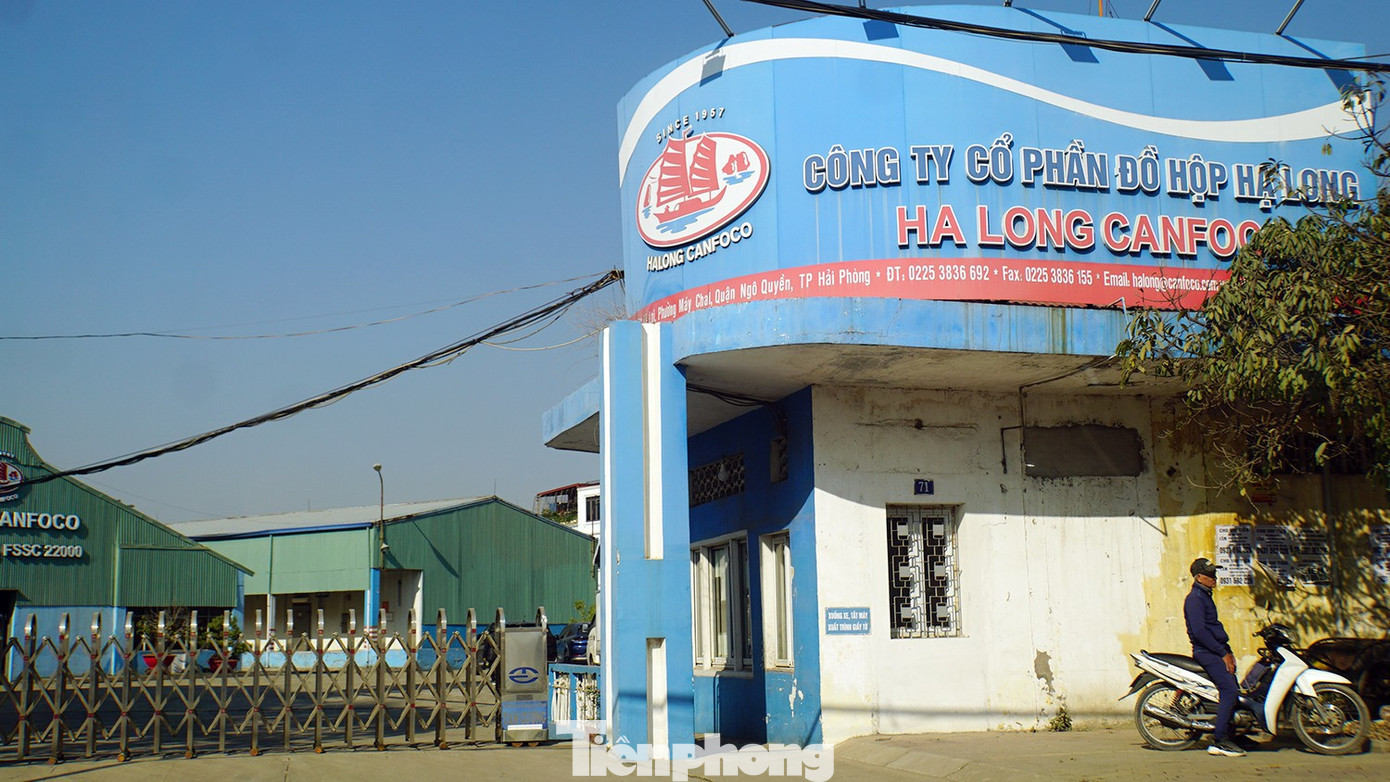 Trụ sở Công ty CP Đồ hộp Hạ Long, trên phố Lê Lai, TP. Hải Phòng. tp-do-ho-ha-long-3.jpg