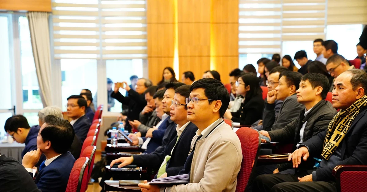 Điện hạt nhân: Chuẩn bị dài hạn, đầu tư nghiêm túc Điện hạt nhân: Chuẩn bị dài hạn, đầu tư nghiêm túc