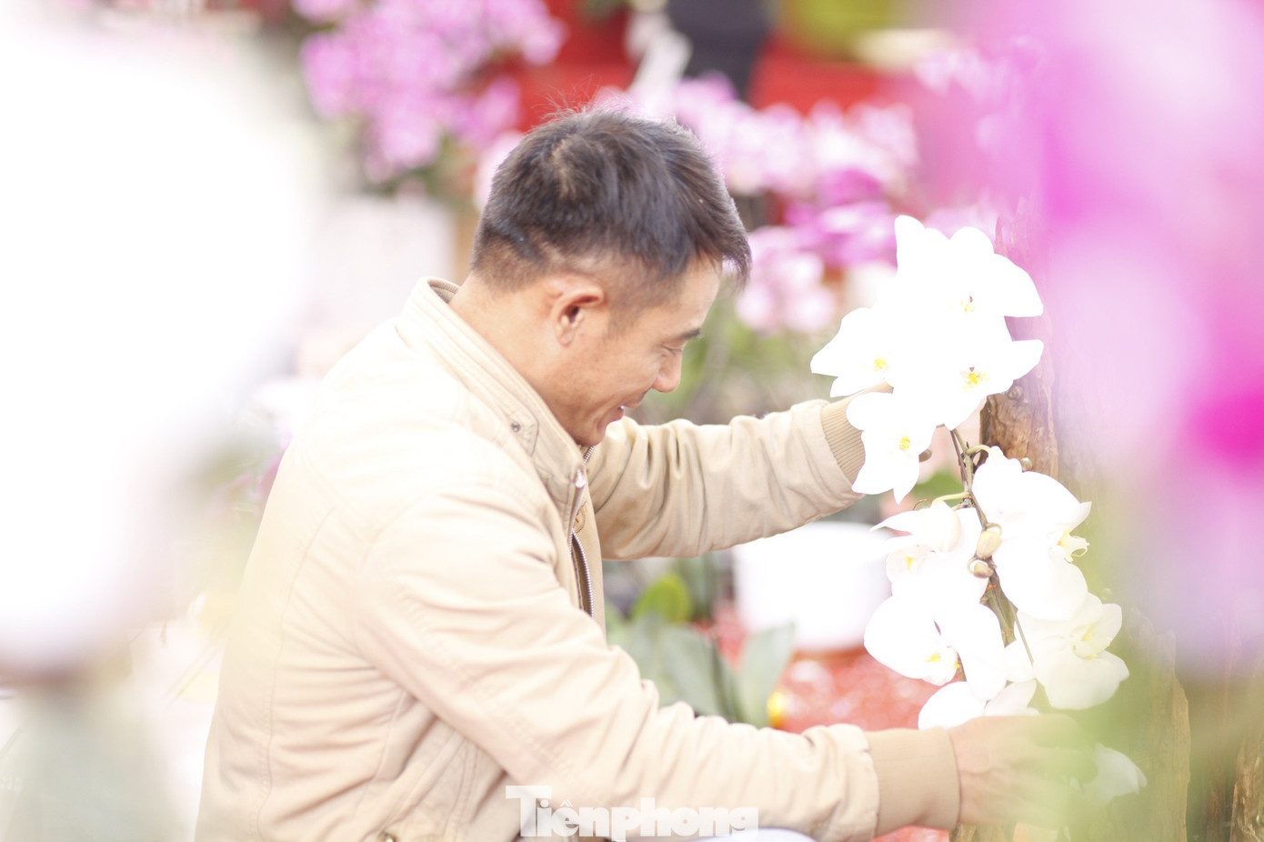 Mỗi vụ Tết, người cắm hoa lan thuê có thể kiếm được vài chục triệu đồng. tp-l17.jpg