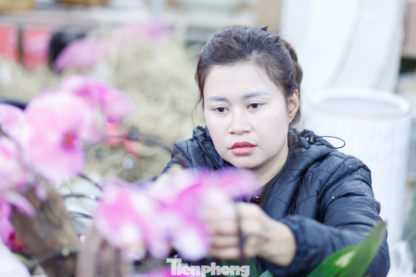 Chị Đặng Vân Anh, ở phường Chu Văn An, TP. Hải Phòng đến cắm hoa lan thuê cho một cửa hàng trên đường Lê Lợi, phường Bắc Giang, Bắc Ninh. Chị Anh cho biết, vụ Tết, chị kiếm được tiền triệu mỗi ngày, thậm chí ngày cao điểm bỏ túi 4 - 5 triệu đồng . tp-l10.jpg
