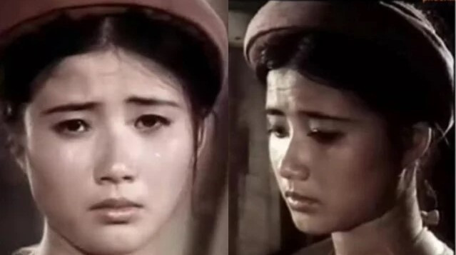 Nữ diễn viên duy nhất là Phó Giáo sư - Tiến sĩ, được mệnh danh là 'Nam Phương Hoàng hậu' đẹp nhất điện ảnh Việt Nam - ảnh 3