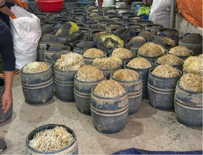 Khởi tố 2 chủ cơ sở sản xuất giá đỗ