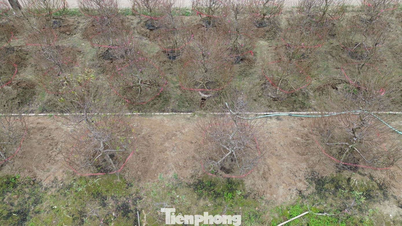tp-1-6735.jpg