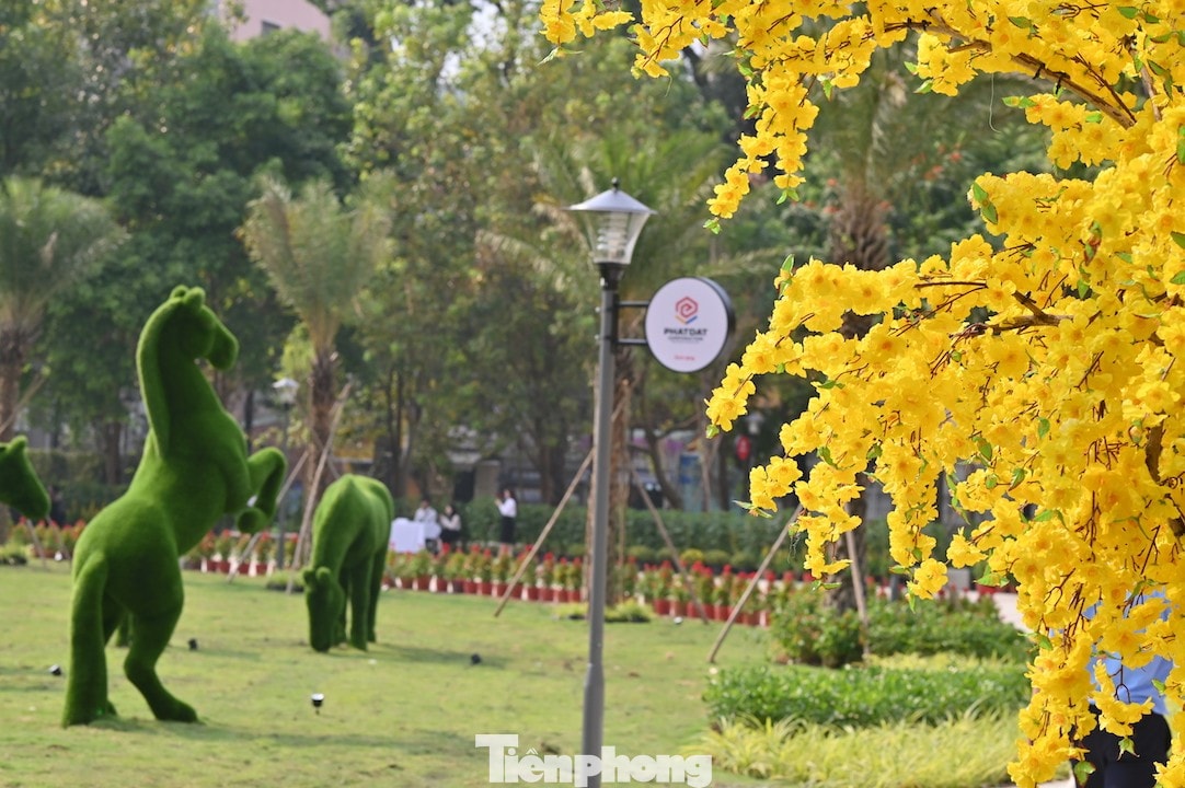 tp-1.jpg