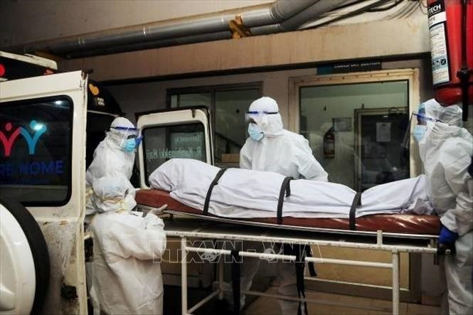 Virus Nipah xuất hiện tại Ấn Độ, Việt Nam chưa ghi nhận ca bệnh - ảnh 1