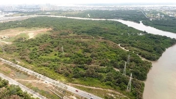 Phước Kiển rớt 'làn ưu tiên': Quốc Cường Gia Lai (QCG) làm gì để đi tiếp?- Ảnh 1.