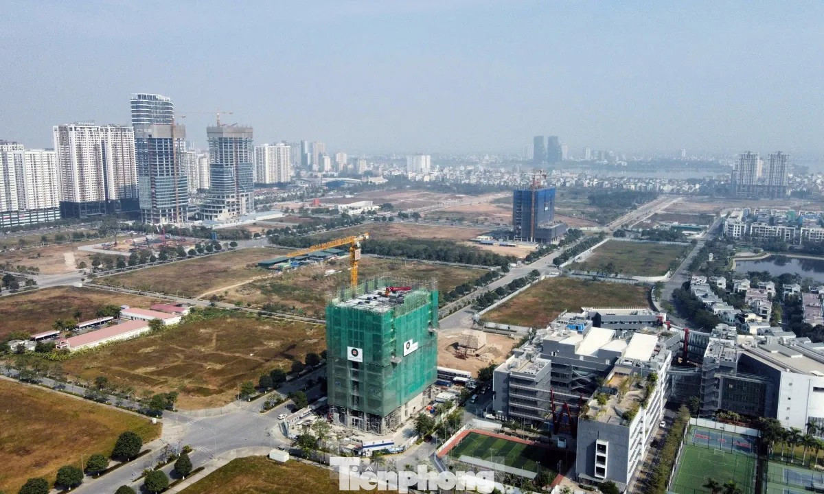 Yếu tố đầu cơ đang giảm dần, hiện tượng mua theo kỳ vọng “bánh vẽ” gần như không còn phổ biến. image-4.jpg