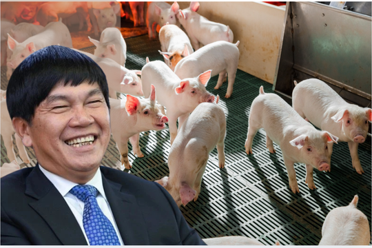 HoSE chấp thuận niêm yết 285 triệu cổ phiếu Nông nghiệp Hòa Phát (HPA)