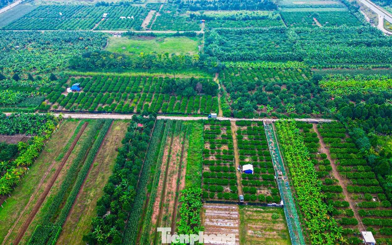 tp-phatthu-71.jpg