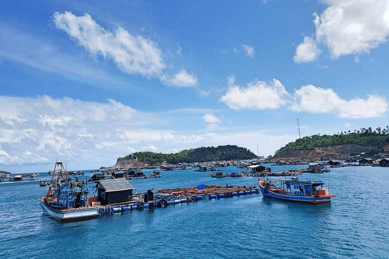 Chỉ đạo, điều hành của Chính phủ, Thủ tướng Chính phủ nổi bật tuần từ 24-30/1/2026- Ảnh 2. Chỉ đạo, điều hành của Chính phủ, Thủ tướng Chính phủ nổi bật tuần từ 24-30/1/2026- Ảnh 2.