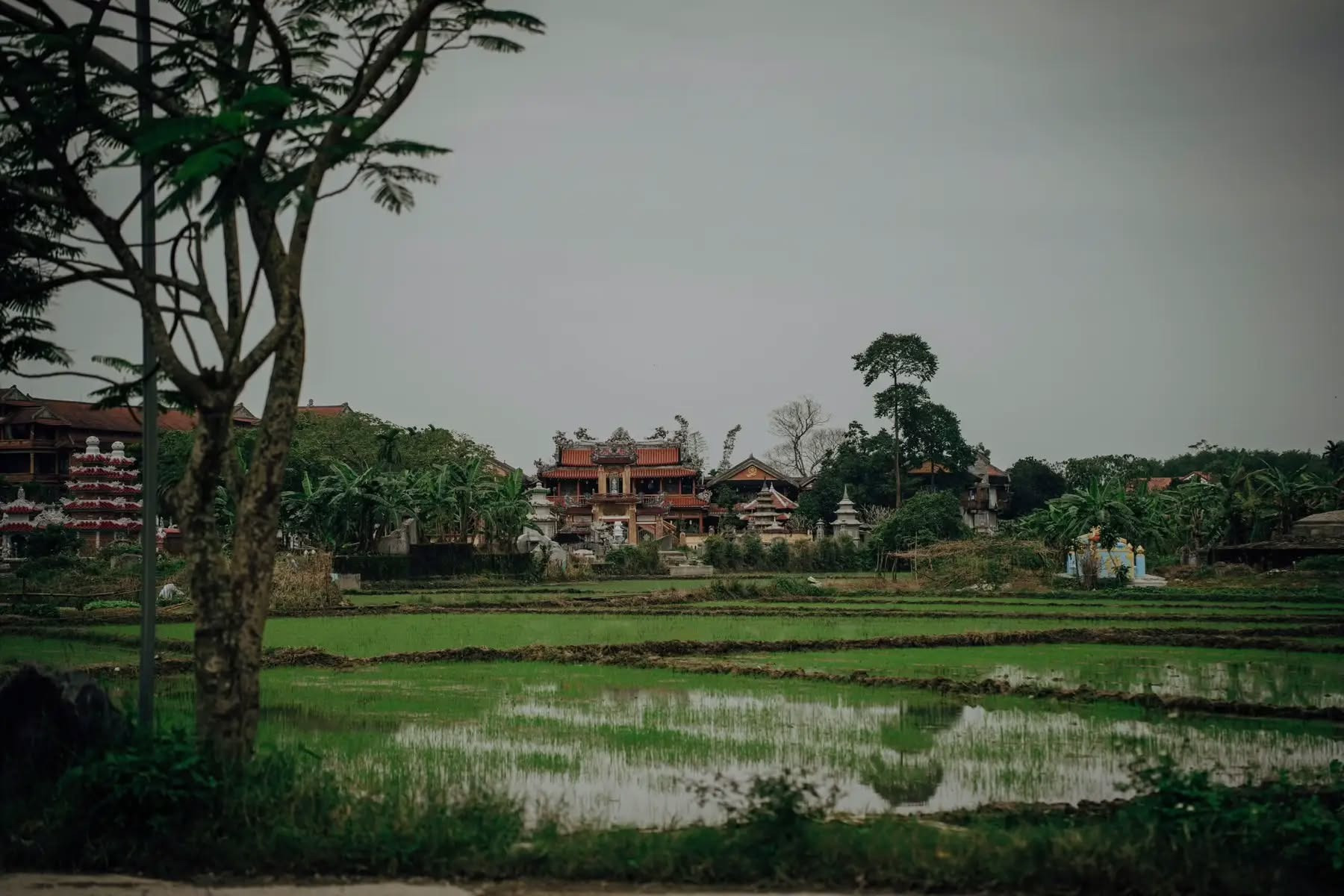 Ngôi chùa rộng 4.000m2 giữa lòng xứ Huế: Không gian Phật giáo mang kiến trúc thiền uyển hiếm thấy- Ảnh 2. Ngôi chùa rộng 4.000m2 giữa lòng xứ Huế: Không gian Phật giáo mang kiến trúc thiền uyển hiếm thấy- Ảnh 2.