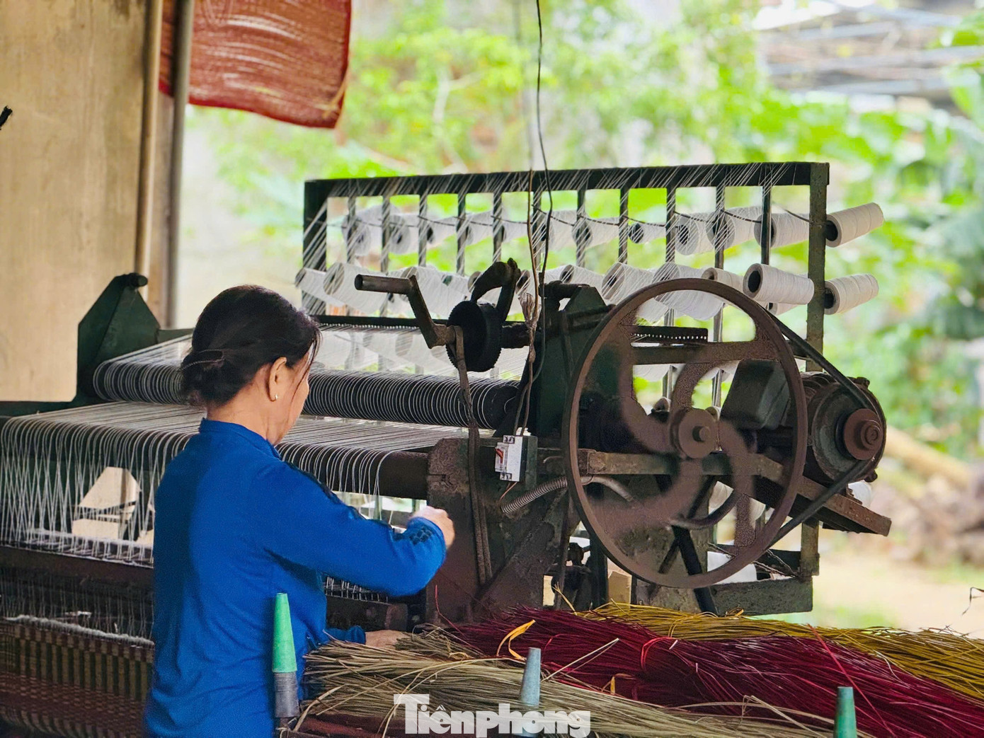 Theo bà Lợi, công đoạn nhuộm đòi hỏi tay nghề và kinh nghiệm để màu sắc lên đều, bền, tạo nên nét riêng của chiếu cói Thu Xà . Thu nhập không cao, nhưng bỏ nghề thì không đành. Làm chiếu là giữ lại ký ức, giữ lại niềm tự hào của cha ông. tp-3873.jpg