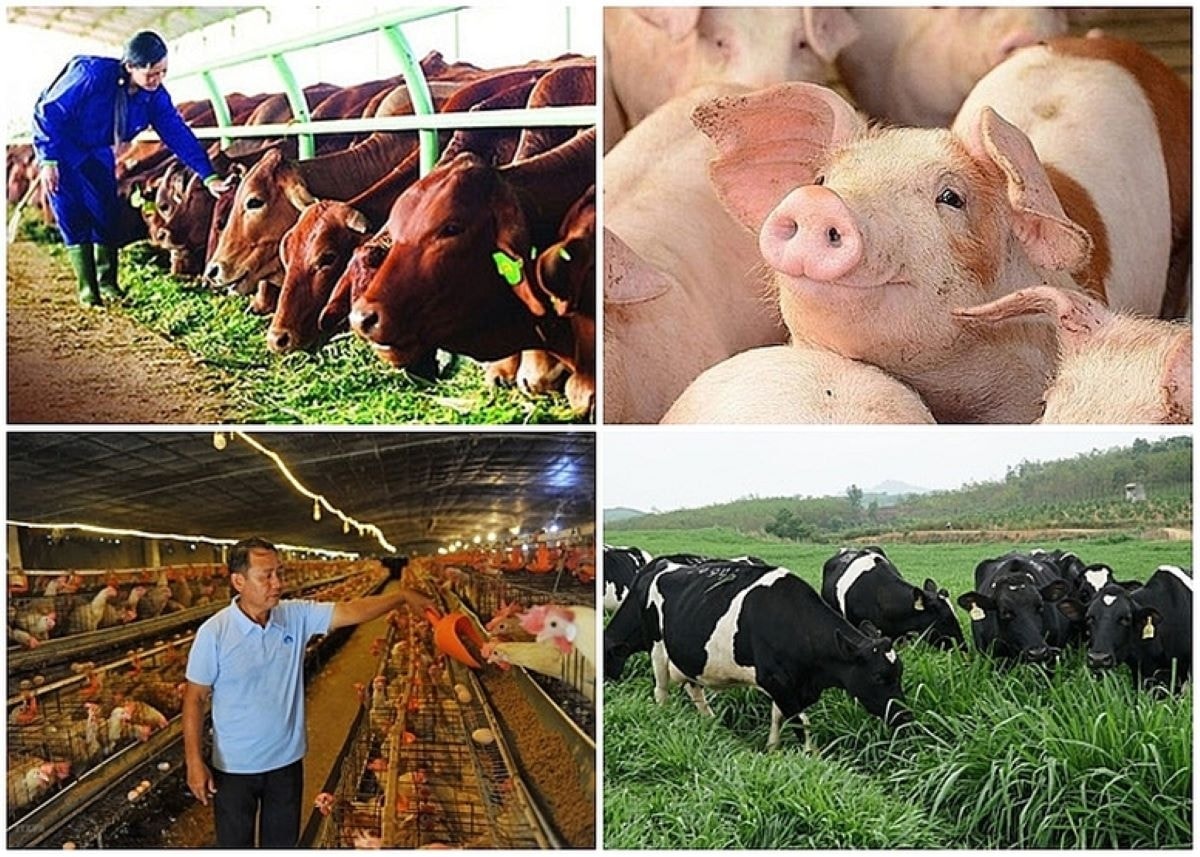 Chỉ đạo, điều hành của Chính phủ, Thủ tướng Chính phủ nổi bật tháng 1/2026- Ảnh 3.