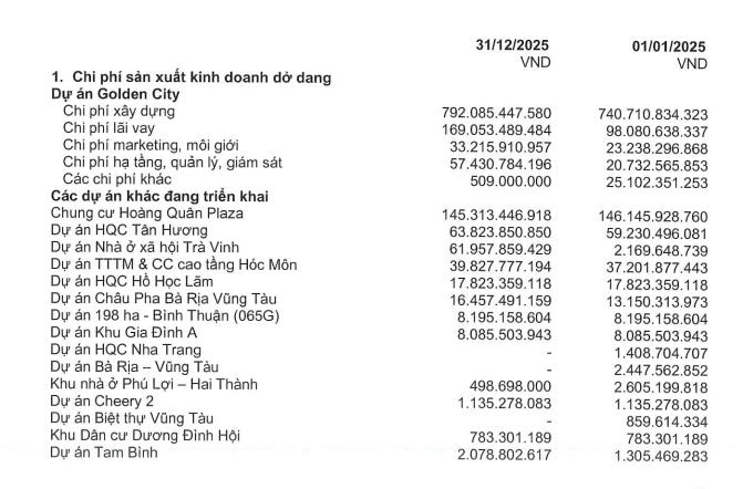 Hoàng Quân (HQC) báo lãi kỷ lục, cao nhất trong gần một thập niên nhưng doanh thu BĐS sụt gần 94%- Ảnh 2.
