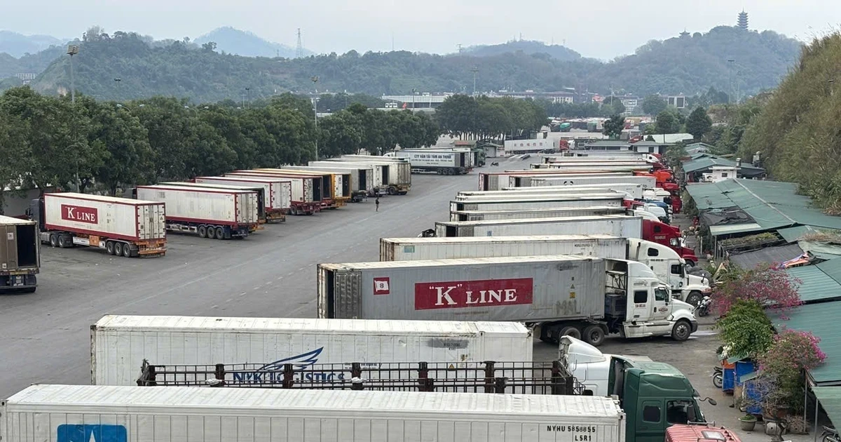 Thủ tướng chỉ đạo 'nóng' về thông quan hàng hóa