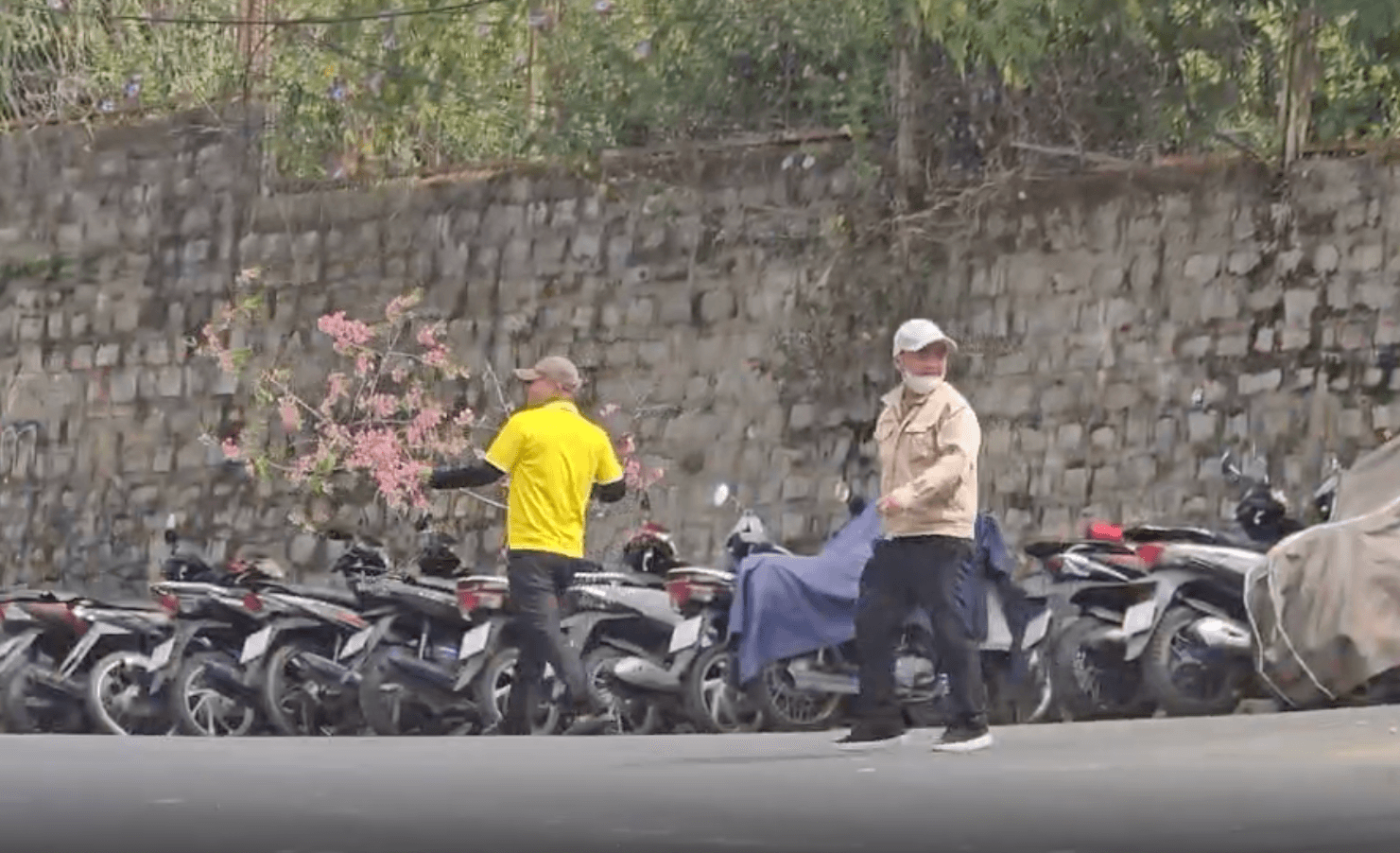 Hé lộ lời khai của người đàn ông ngang nhiên bẻ trộm mai anh đào về chưng Tết