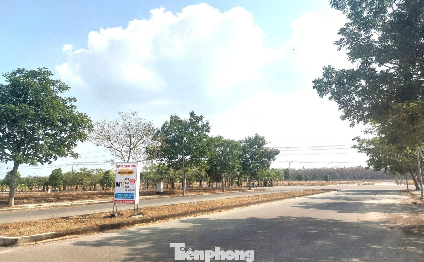 Ông Huỳnh Uy Dũng là người đứng ra ký với Chủ tịch HĐQT Công ty Vinasing Group Lê Minh Thơ. Theo hợp đồng, Ngân hàng Phương Đông (OCB) chi nhánh Bình Dương là trung gian thanh toán. tp-dai-nam-4.jpg