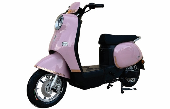 xe-may-dien-Dibao Rosa